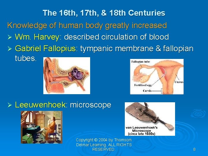 The 16 th, 17 th, & 18 th Centuries Knowledge of human body greatly