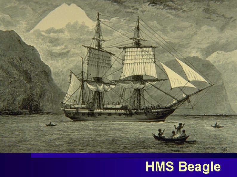HMS Beagle 