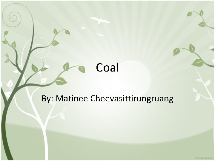 Coal By: Matinee Cheevasittirungruang 