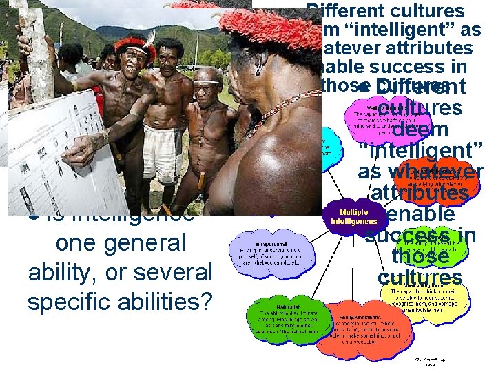 Different cultures deem “intelligent” as whatever attributes enable success in those cultures l Different