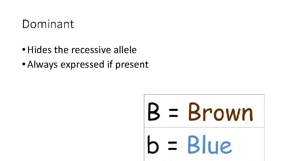 Dominant • Hides the recessive allele • Always expressed if present 