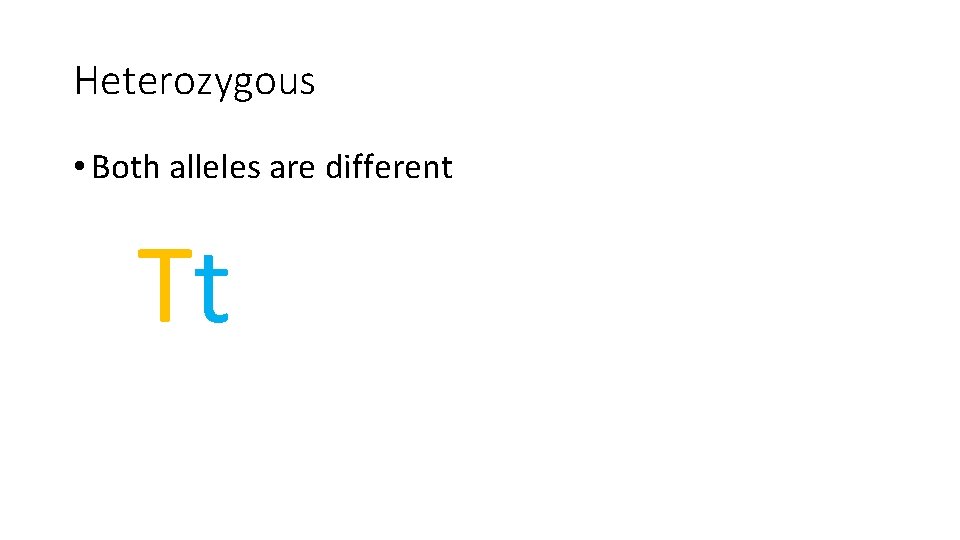 Heterozygous • Both alleles are different Tt 