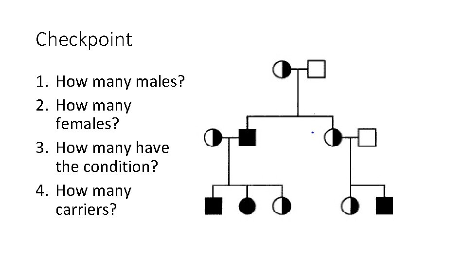 Checkpoint 1. How many males? 2. How many females? 3. How many have the
