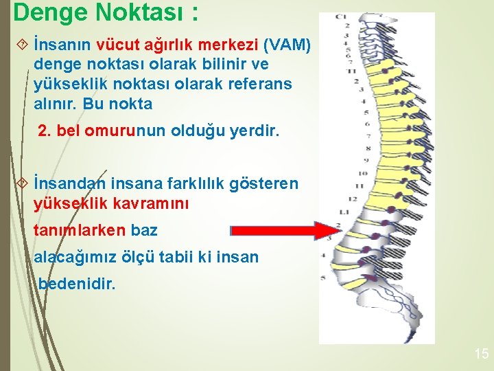 Denge Noktası : İnsanın vücut ağırlık merkezi (VAM) denge noktası olarak bilinir ve yükseklik