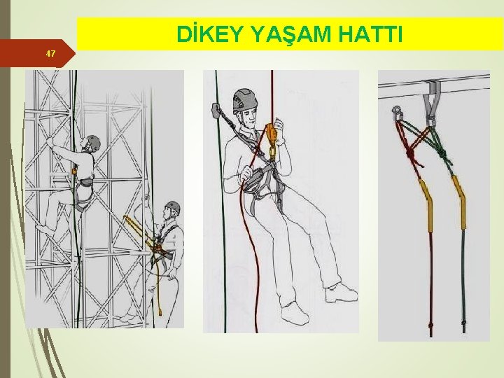 DİKEY YAŞAM HATTI 47 