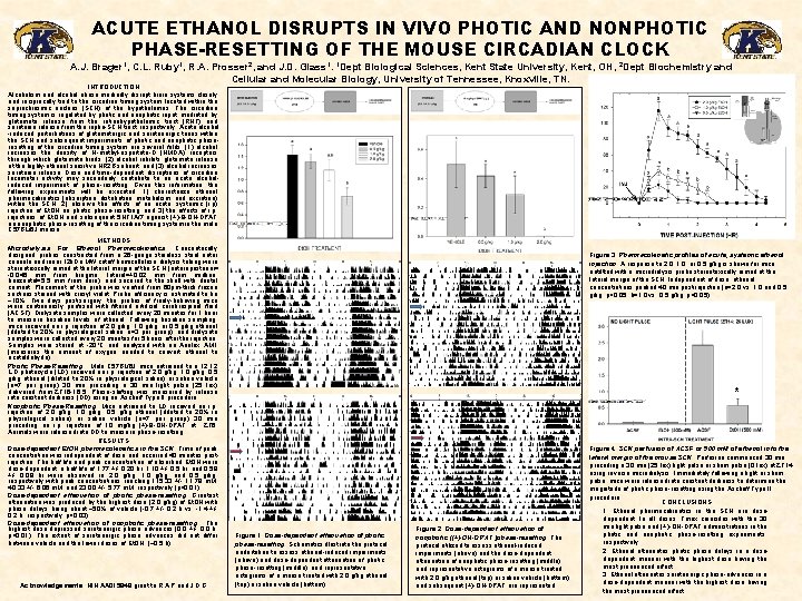 ACUTE ETHANOL DISRUPTS IN VIVO PHOTIC AND NONPHOTIC PHASE-RESETTING OF THE MOUSE CIRCADIAN CLOCK