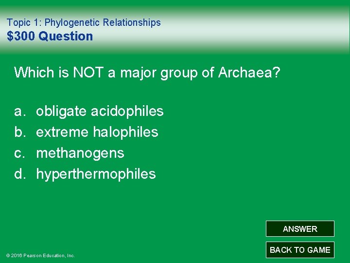 Topic 1: Phylogenetic Relationships $300 Question Which is NOT a major group of Archaea?
