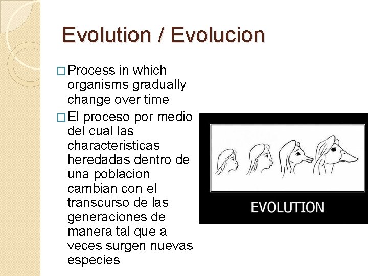 Evolution Unit Standards and Vocabulary Standards S 7
