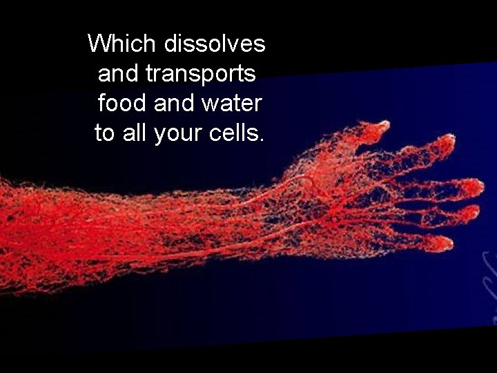 Which dissolves and transports food and water to all your cells. 