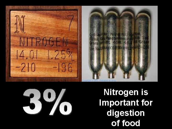 Nitrogen is Important for digestion of food 