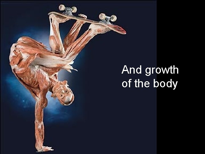 And growth of the body 