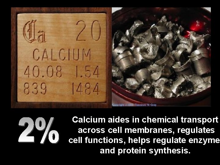 Calcium aides in chemical transport across cell membranes, regulates cell functions, helps regulate enzymes