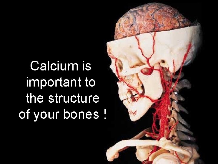 Calcium is important to the structure of your bones ! 