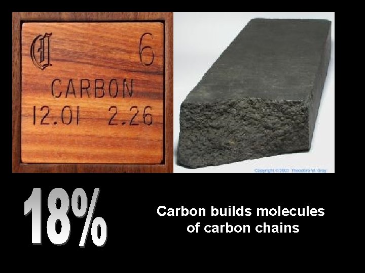 Carbon builds molecules of carbon chains 