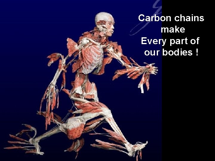 Carbon chains make Every part of our bodies ! 