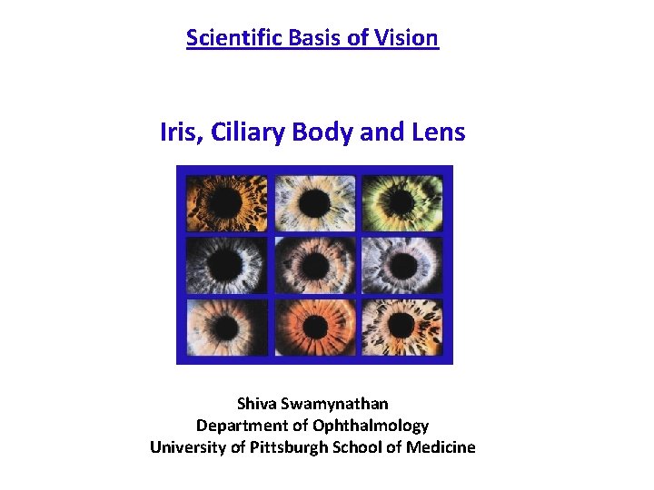 Scientific Basis of Vision Iris, Ciliary Body and Lens Shiva Swamynathan Department of Ophthalmology