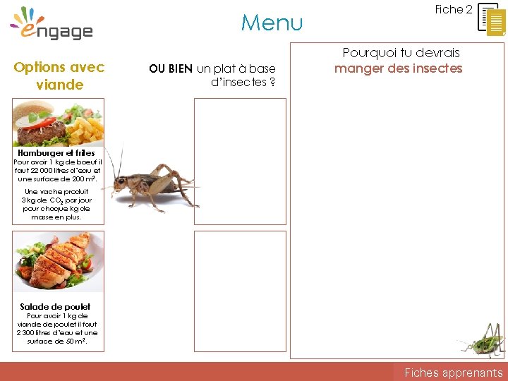 Menu Options avec viande OU BIEN un plat à base d’insectes ? Fiche 2