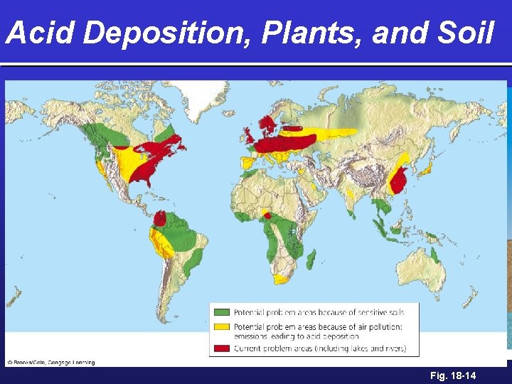 Acid Deposition, Plants, and Soil Ø Nutrient leaching Ø Heavy metal release Ø Weakens