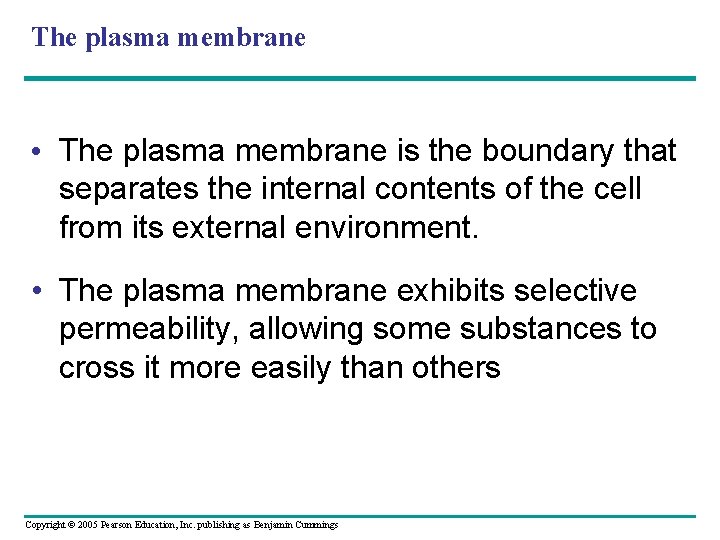 The plasma membrane • The plasma membrane is the boundary that separates the internal