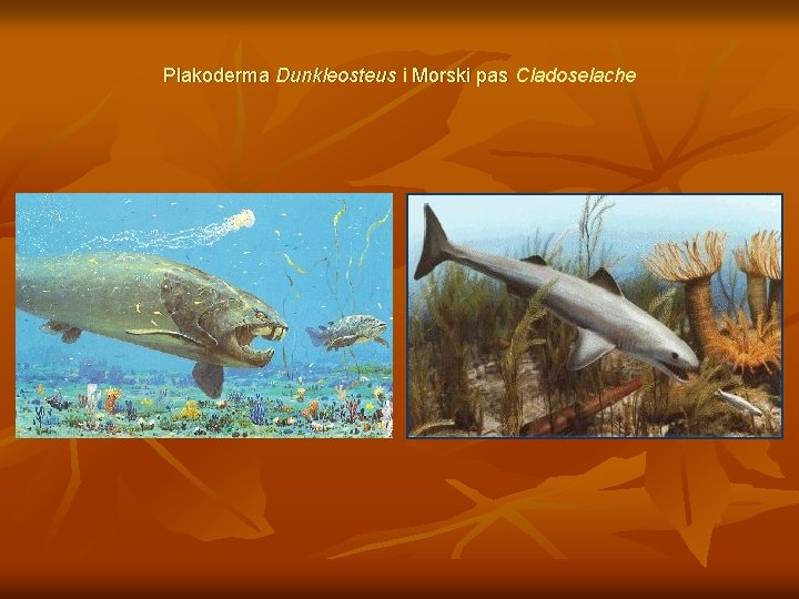 Plakoderma Dunkleosteus i Morski pas Cladoselache 