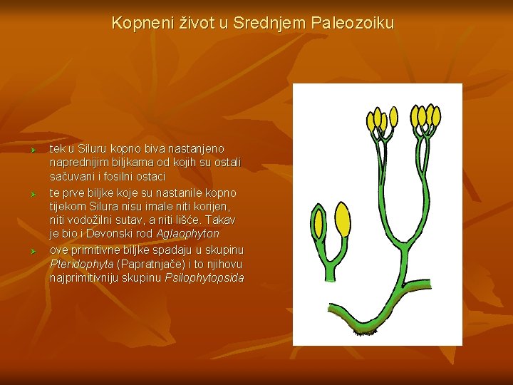 Kopneni život u Srednjem Paleozoiku Ø Ø Ø tek u Siluru kopno biva nastanjeno