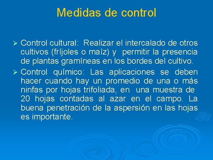 Medidas de control Control cultural: Realizar el intercalado de otros cultivos (fríjoles o maíz)