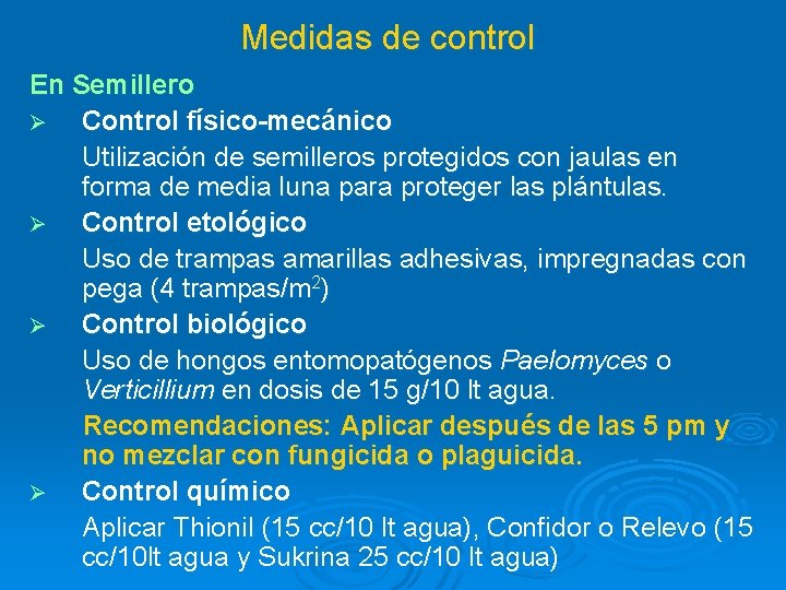 Medidas de control En Semillero Ø Control físico-mecánico Utilización de semilleros protegidos con jaulas