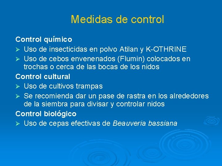 Medidas de control Control químico Ø Uso de insecticidas en polvo Atilan y K-OTHRINE