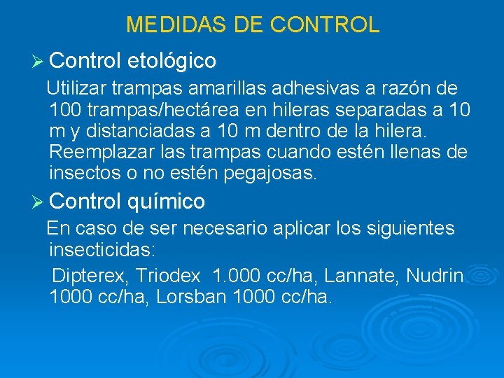 MEDIDAS DE CONTROL Ø Control etológico Utilizar trampas amarillas adhesivas a razón de 100