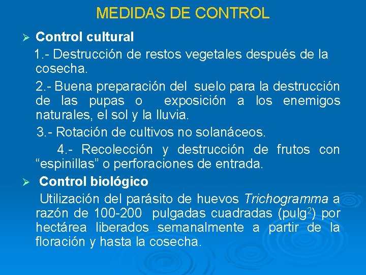 MEDIDAS DE CONTROL Control cultural 1. - Destrucción de restos vegetales después de la