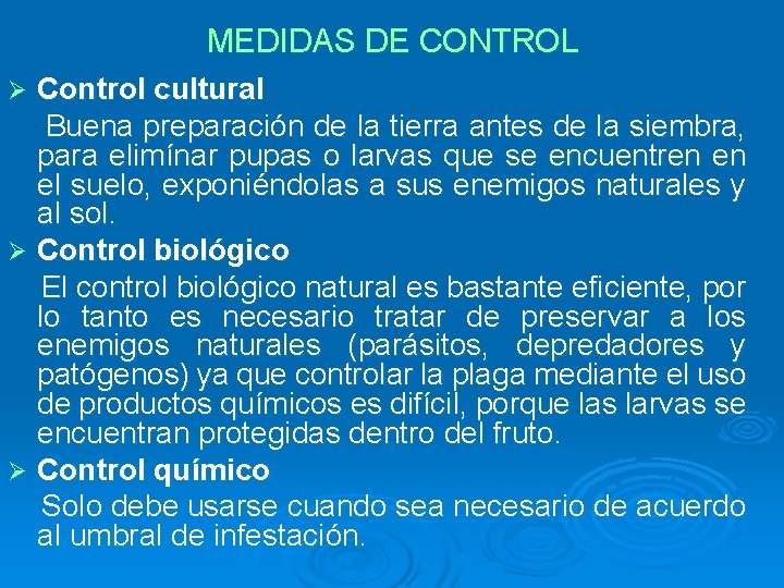 MEDIDAS DE CONTROL Control cultural Buena preparación de la tierra antes de la siembra,