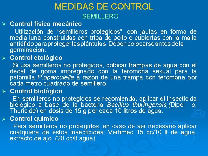 MEDIDAS DE CONTROL SEMILLERO Control físico mecánico Utilización de “semilleros protegidos”, con jaulas en