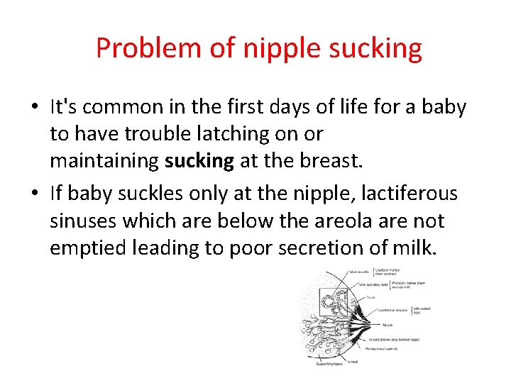 Problem of nipple sucking • It's common in the first days of life for