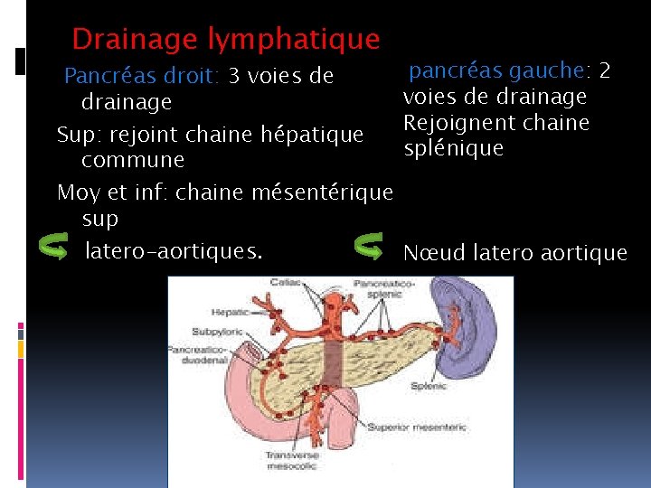 Drainage lymphatique Pancréas droit: 3 voies de drainage Sup: rejoint chaine hépatique commune Moy