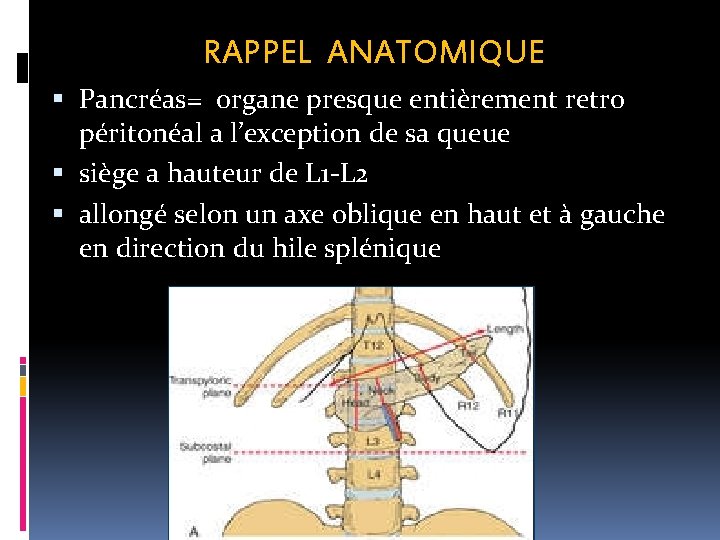 RAPPEL ANATOMIQUE Pancréas= organe presque entièrement retro péritonéal a l’exception de sa queue siège