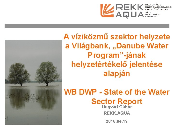 A víziközmű szektor helyzete a Világbank, „Danube Water Program”-jának helyzetértékelő jelentése alapján WB DWP