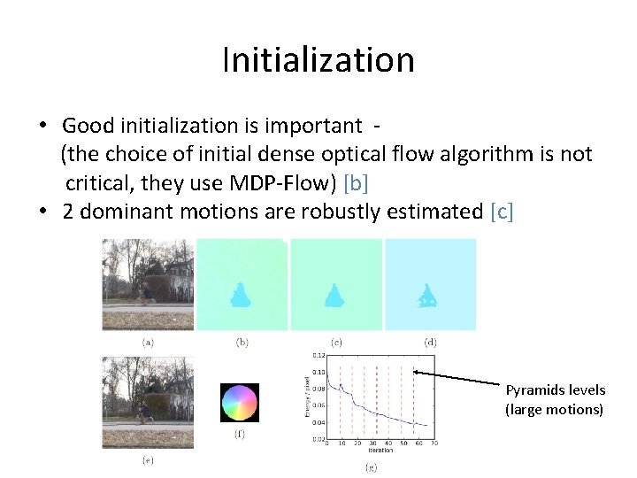 Initialization • Good initialization is important (the choice of initial dense optical flow algorithm