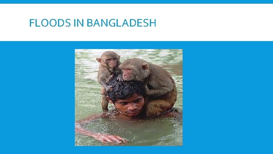 FLOODS IN BANGLADESH 