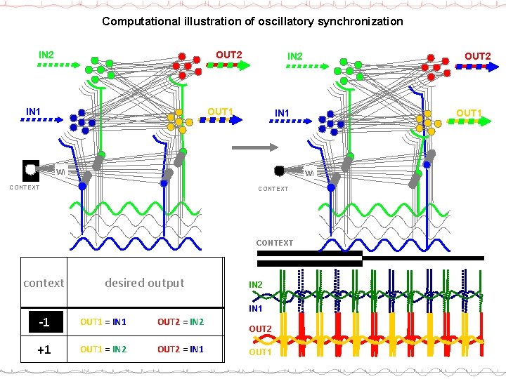 Computational illustration of oscillatory synchronization OUT 2 IN 2 OUT 1 IN 1 wi