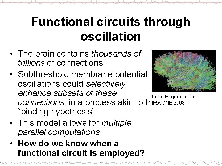 Functional circuits through oscillation • The brain contains thousands of trillions of connections •