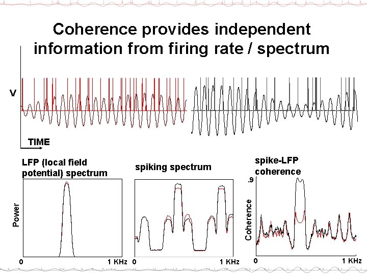 Coherence provides independent information from firing rate / spectrum V TIME spiking spectrum 0
