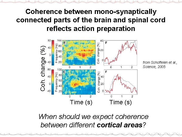 Coh. change (%) Coherence between mono-synaptically connected parts of the brain and spinal cord
