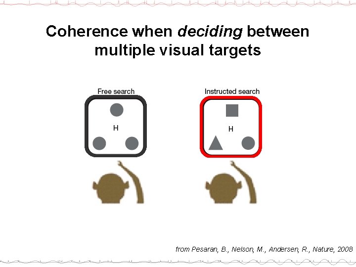 Coherence when deciding between multiple visual targets from Pesaran, B. , Nelson, M. ,