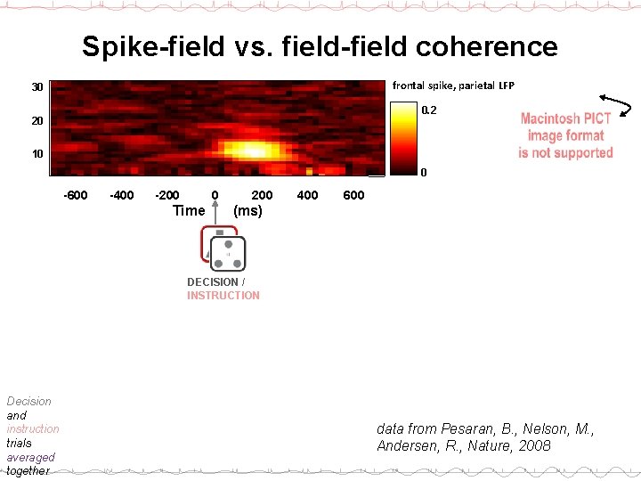 Spike-field vs. field-field coherence frontal spike, parietal LFP 30 0. 2 20 10 0
