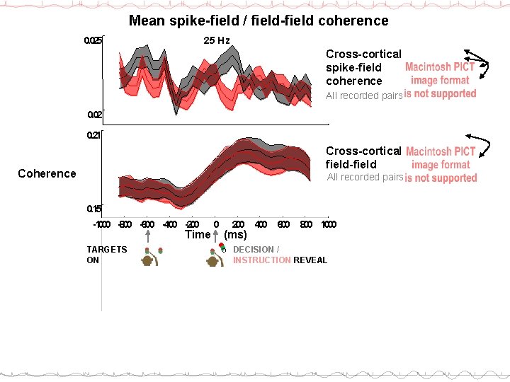 Mean spike-field / field-field coherence 0. 025 25 Hz Cross-cortical spike-field coherence All recorded