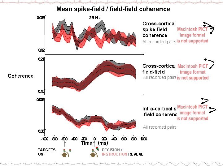 Mean spike-field / field-field coherence 0. 025 25 Hz Cross-cortical spike-field coherence All recorded
