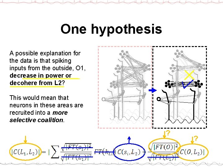 One hypothesis A possible explanation for the data is that spiking inputs from the