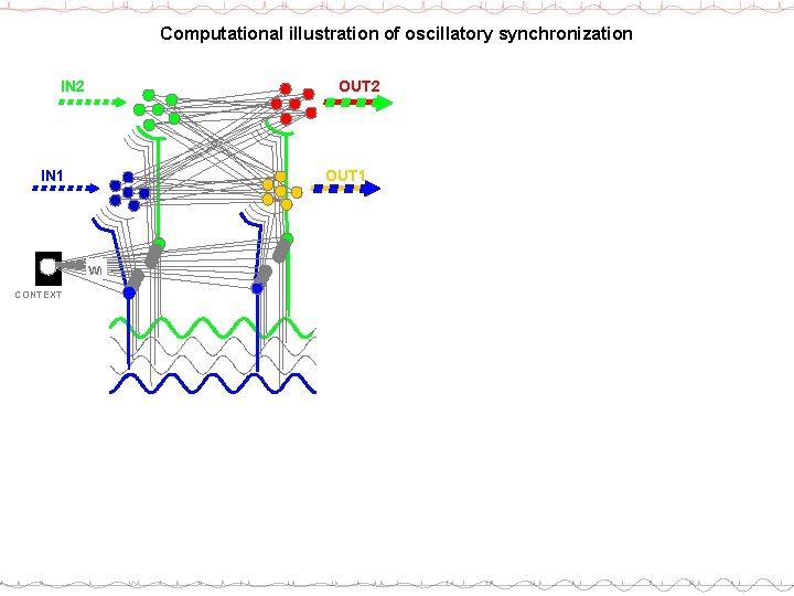 Computational illustration of oscillatory synchronization OUT 2 IN 2 OUT 1 IN 1 wi