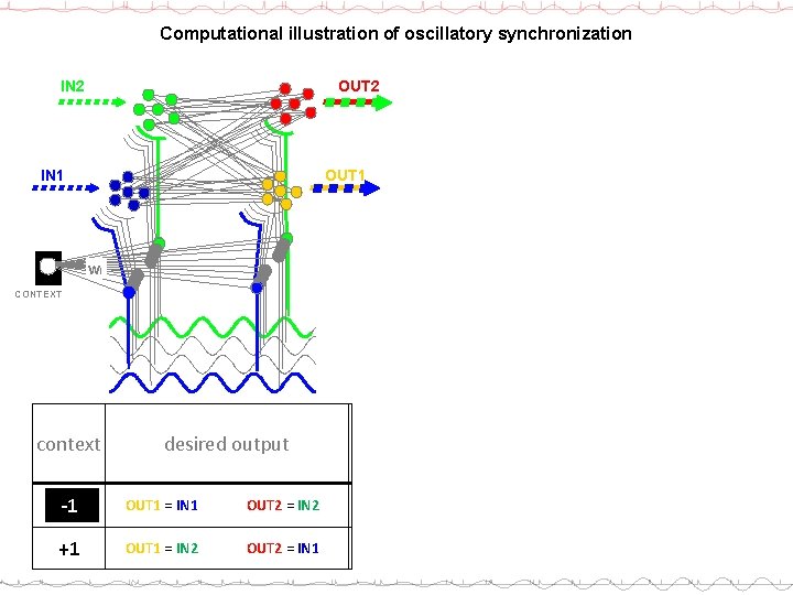 Computational illustration of oscillatory synchronization OUT 2 IN 2 OUT 1 IN 1 wi