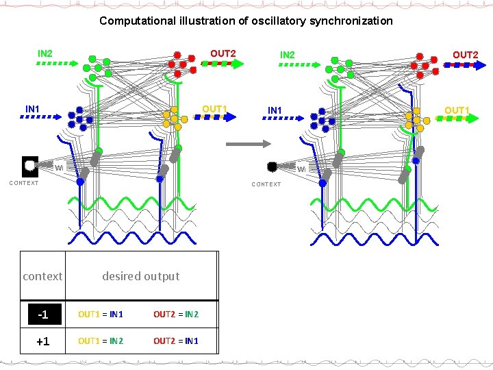 Computational illustration of oscillatory synchronization OUT 2 IN 2 OUT 1 IN 1 wi